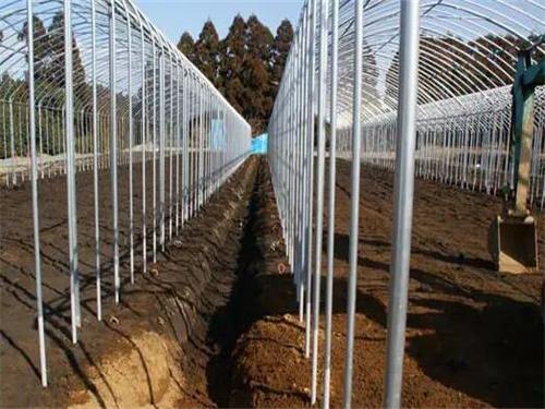 白沙建筑桩基础应用